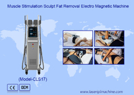 7 تسلا الکترومغناطیسی RF Ems تحریک عضلانی ماشین مجسمه سازی بدن