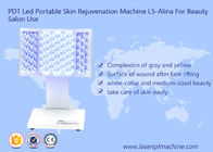 PDT رهبری قابل حمل دستگاه جوان سازی پوست L5-Alina برای دستگاه زیبایی