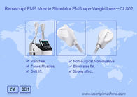 2.3KVA بدن لاغری 220v 300μS EMS عضله تحریک کننده