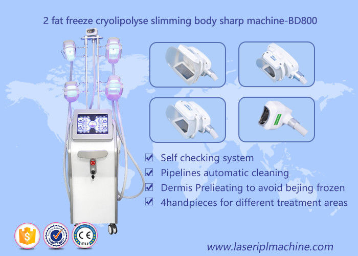 دستگاه لاغری Cryolipolysis بدن، دستگاه زیبایی Lipo Cryo Cryolipolysis
