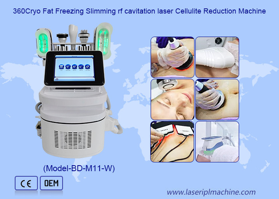 360 Cryo 40K Cavitation بدن مجسمه سازی با دستگیره دو چانه برای از بین بردن سلولیت