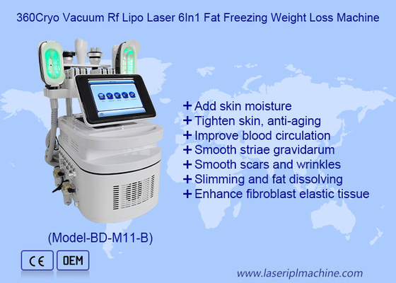 360 Cryo 40K Cavitation بدن مجسمه سازی با دستگیره دو چانه برای از بین بردن سلولیت