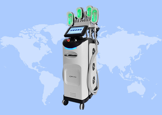 کاهش وزن بدن از دست دادن چربی کریوتراپی مجسمه سازی بدن خنک 360 ماشین یخچال چربی
