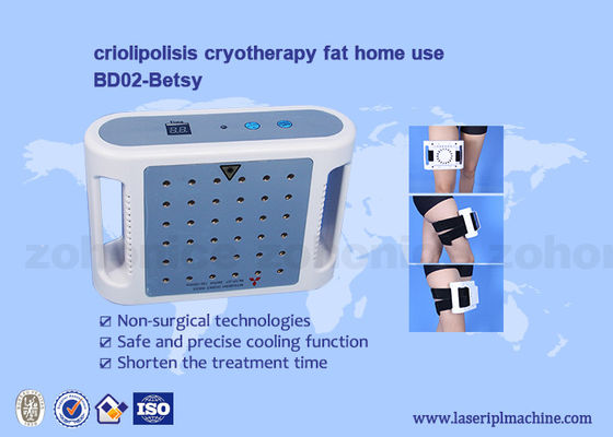 قیمت خوب دستگاه خنک کننده هوای لاغری لیزر لیپو مورد تایید Personal Ce آنلاین