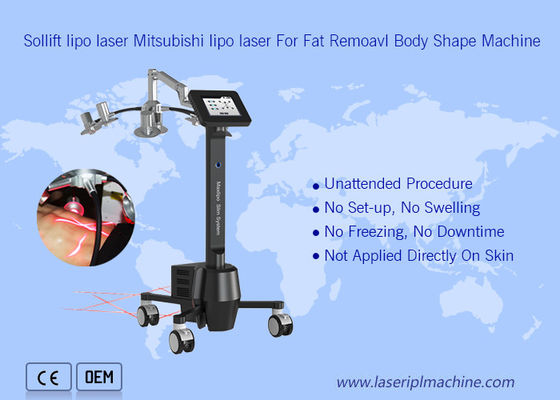 قیمت خوب دستگاه کرایولیپولیز قابل حمل 220 ولت 6d Lipolaser Zerona Beauty آنلاین