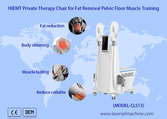 قیمت خوب ماساژ ماهیچه ای 2 Handles Bitbuck Lifting Weight Loss Ems Machine Sculpting Muscle Massage آنلاین