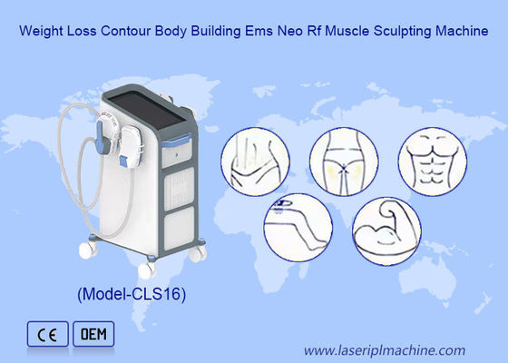 قیمت خوب دو تا دستگير کوچک براي بازو و پاهاي ايمس محرک عضلات آنلاین