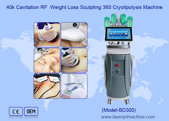قیمت خوب 40k Cavitation RF Weight Loss Sculpting 360 ماشین کریولیپولیز آنلاین