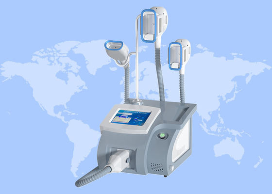 قیمت خوب دستگاه انجماد چربی کرایولیپولیز با دسته 360 درجه، کاهش وزن چربی، انجماد آنلاین