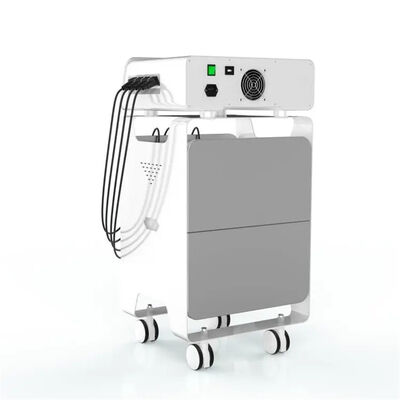 قیمت خوب Ems فرکانس رادیویی Eswt تجهیزات کمر درد مراقبت بهداشتی آنلاین