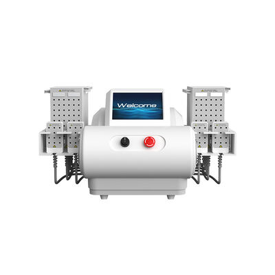 قیمت خوب 635nm 650nm 940nm 980nm دیود لیزر EMS صفحه لیپوساکشن دستگاه لاغری بدن آنلاین