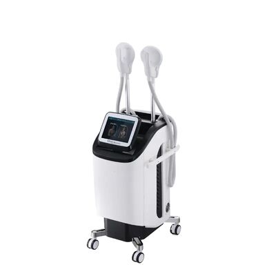 300μS Clinic 220v EMT Cavitation Body Slim Machine