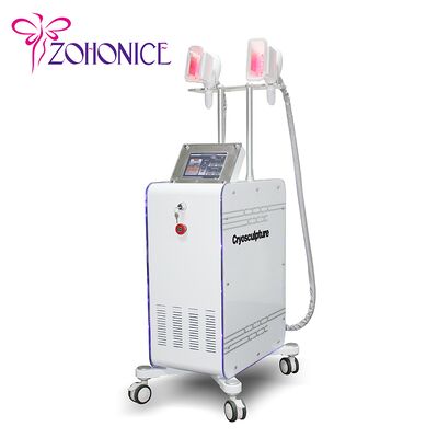 قیمت خوب 2 دسته تعویض کرایولیپولیز لاغری ماشین با Antifreezing غشا آنلاین