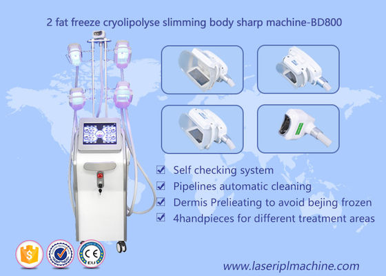 قیمت خوب دستگاه لاغری Cryolipolysis بدن، دستگاه زیبایی Lipo Cryo Cryolipolysis آنلاین