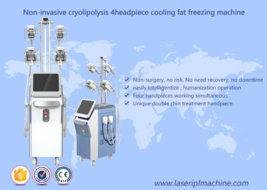 دستگاه کریولیپولیز از دست دادن چربی انجماد دستگاه لاغری خلاء کاویتاسیون Rf Machine