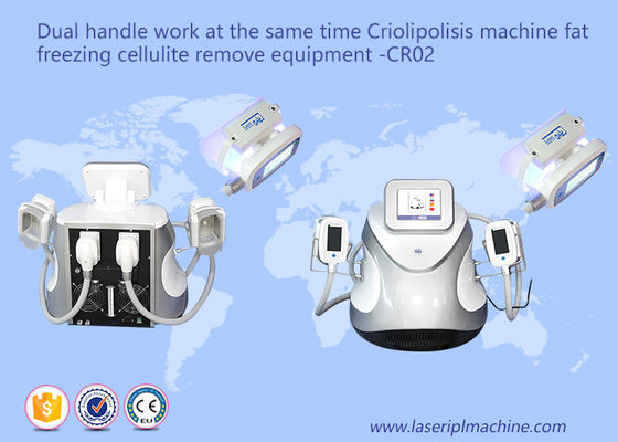 قیمت خوب دو دستگیره چربی انجماد چربی سلولیت ماشین آلات کاهش وزن CR02 110v / 220v آنلاین