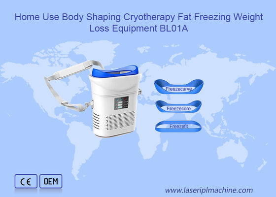 قیمت خوب لاغری انجماد لاغری دستگاه لاغری Cryolipolysis آنلاین